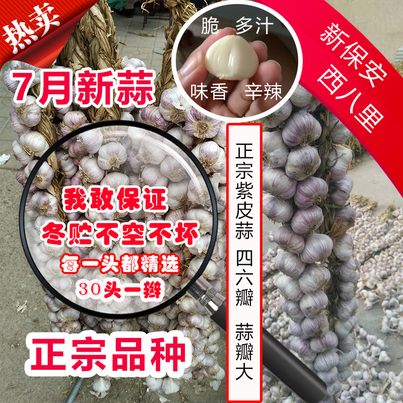 Wylai Xiaoxi Ziyi Zhi Zhi Zhi Zhi braid 30 head braid 3 braid