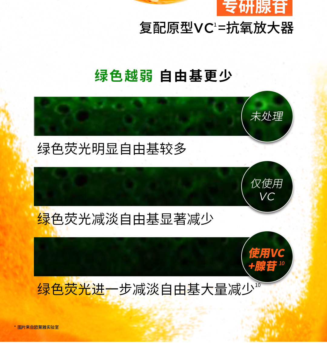 【香港直郵】 法國 巴黎歐萊雅 VC面膜 維C抗氧提亮面膜5片裝 鮮活煥發·保濕緊緻|熬夜暗沉急救|妝前打底持妝不暗淡|細緻透光肌