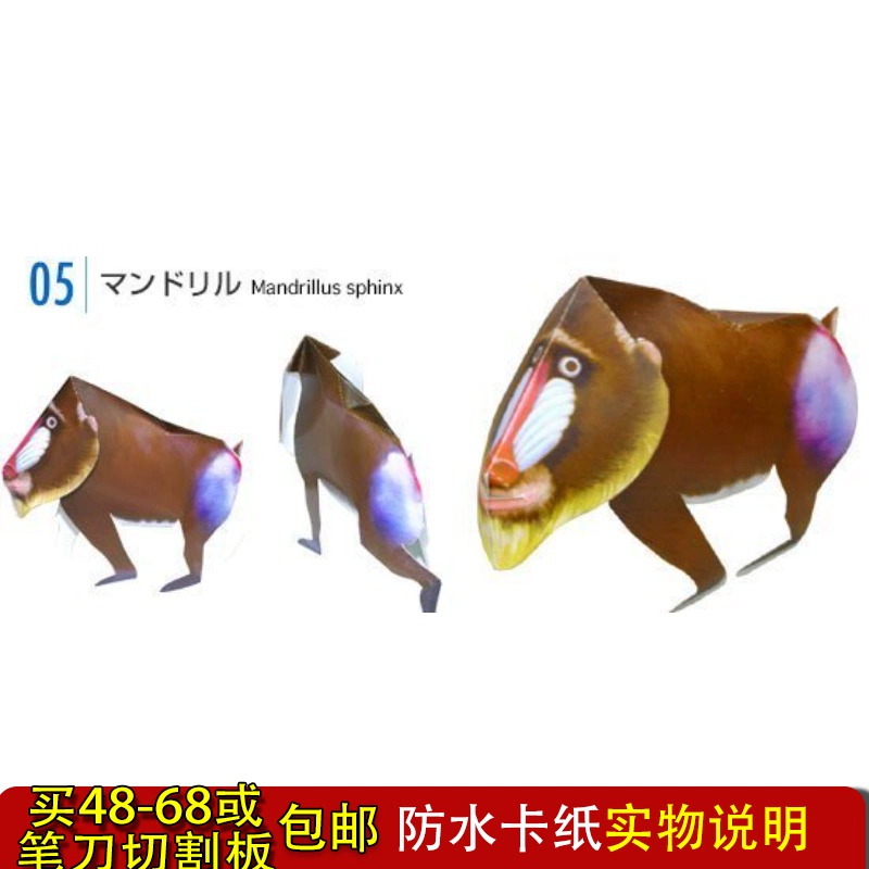 Mô hình giấy động vật Mandrill 3D handmade DIY với mô tả vật lý cho hơn 48 - Mô hình giấy