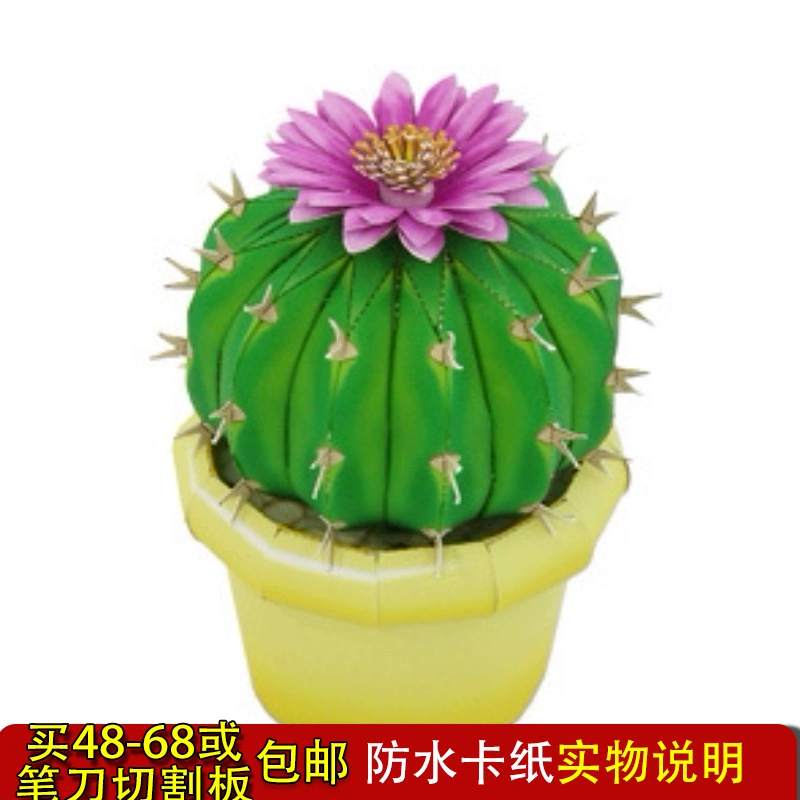 Trang trí trong nhà cây xương rồng hình cầu trong chậu mô hình giấy 3D thủ công Tự làm mô tả vật lý - Công cụ tạo mô hình / vật tư tiêu hao