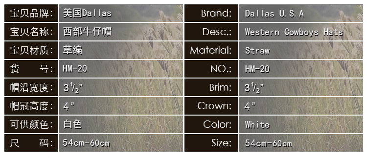 Article équitation  DALLAS - Ref 1379033 Image 11