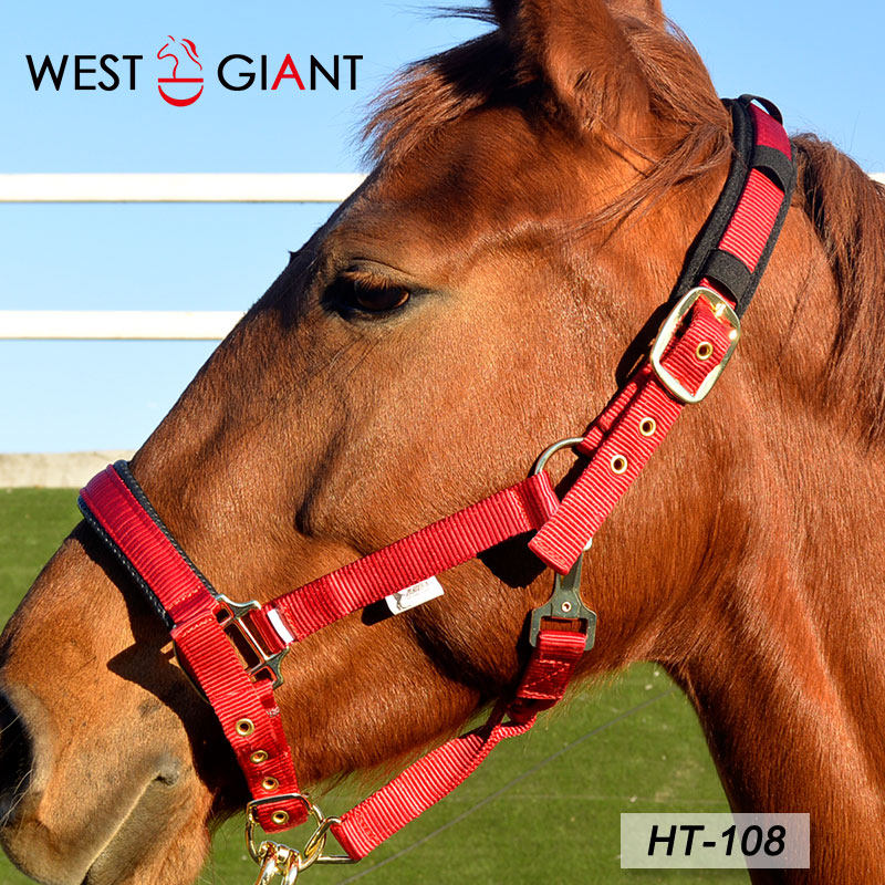 ()HT-108 upscale Bingylon horse cage head suit horse tap for horse rope western giant horse