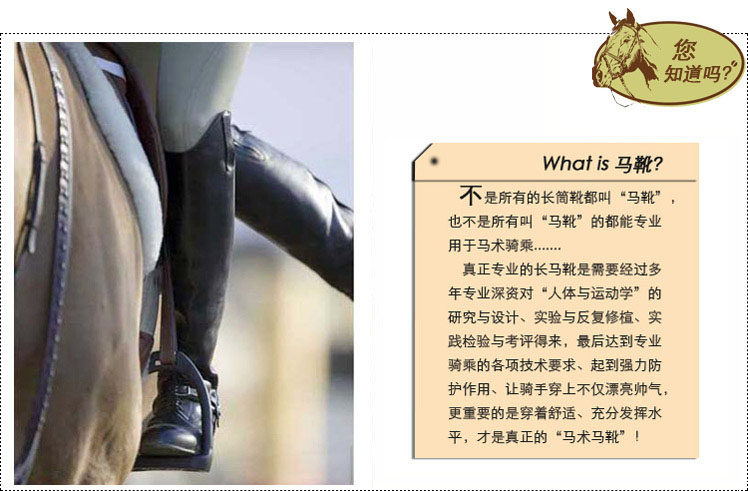 Article équitation pour enfant - Ref 1380987 Image 4