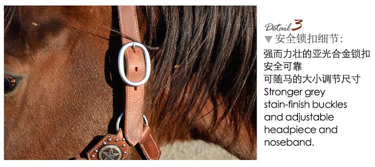 American TB leather Bridle Vòi ngựa phương Tây dây buộc kiểu phương Tây Ngựa khổng lồ cung cấp cưỡi ngựa - Nguồn cung cấp ngựa & ngựa móng ngựa