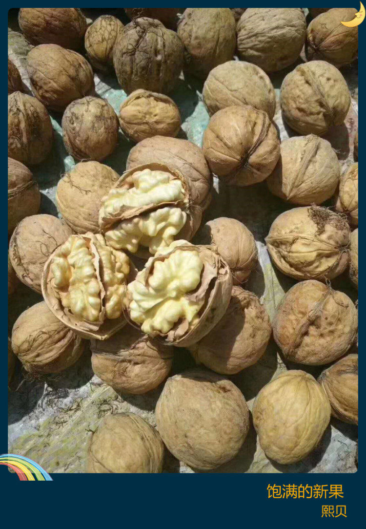 Xinjiang 185 paper walnut new goods anhydrous Xian 5 catties direct delivery from the origin