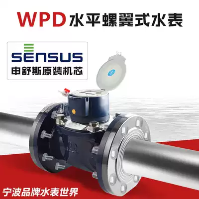 Horizontal vertical screw type Ningbo brand water meter DN50 ~ 300 WPD-50 ~ 300