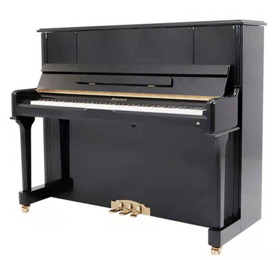 Starsea piano BACHENDORFF Bakhdorf Germany design import accessories BU 23 upright piano