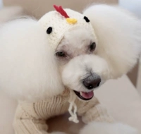 Цыпочка шляпа