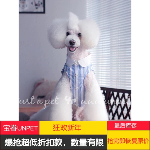 Жилет и жилет для собак, летняя повседневная одежда для домашних животных Baojuan unpet, полосатый жилет и жилет с белым воротником, несколько размеров на выбор