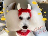 Новая годоватая красная шляпа