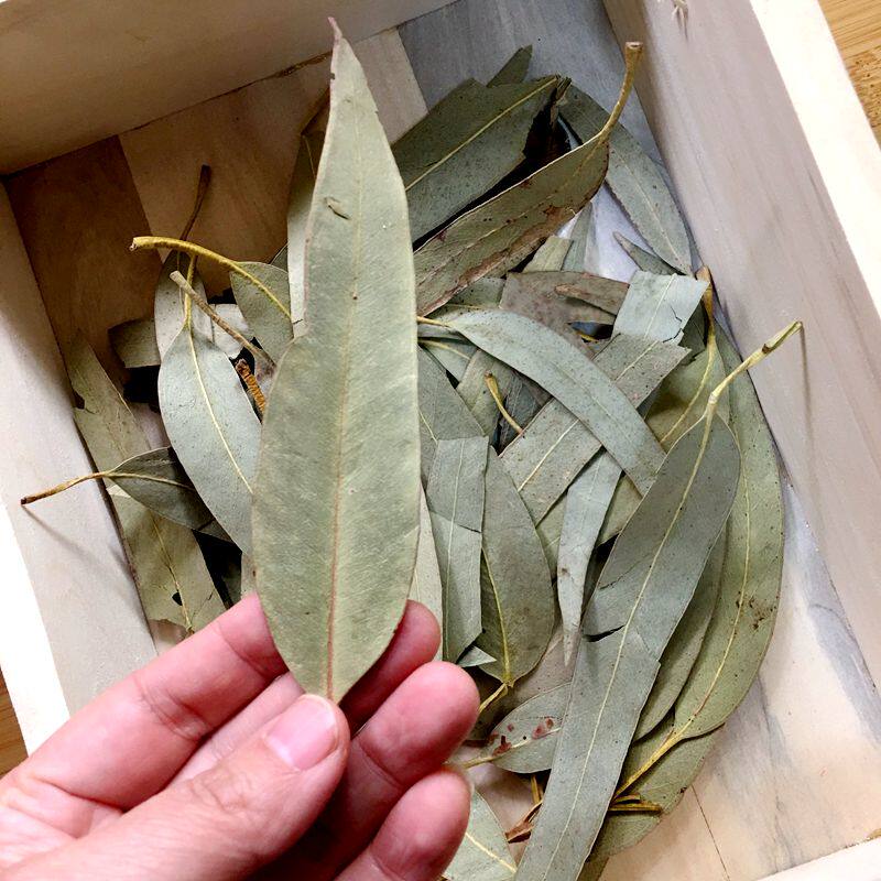 Honey bag glider deodorant squirrel honey quoll pet disinfection deodorant bedding mat snack toys edible eucalyptus leaves