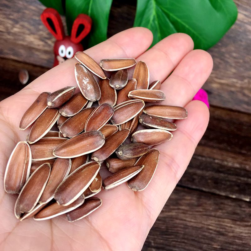 Squirrel food, flying squirrel, marmot, honey bag, glider, nutritional staple food, snacks, red melon seeds, red skin, raw sweet hamster