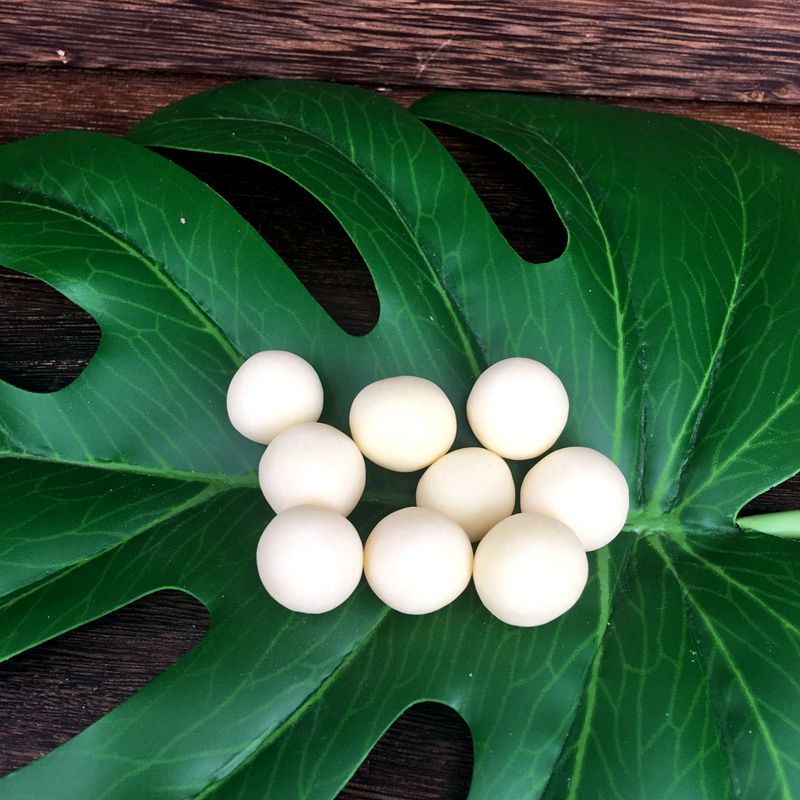 Squirrel Supplies Squirrel Sugar Gliding Pet Snacks Cheese Balls Calcium Cheese Granules Milk Beans Beauty Hair Natural Milk Nutrition