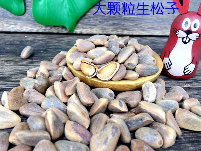 Squirrel food parrot staple food snacks molar nutrition Northeast wild pine nuts red pine nuts natural nutrition food for hamsters