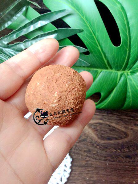 Squirrel groundhog nutrition supplement plus calcium health care sand mud block trace element block molar ball to prevent gnawing wall skin