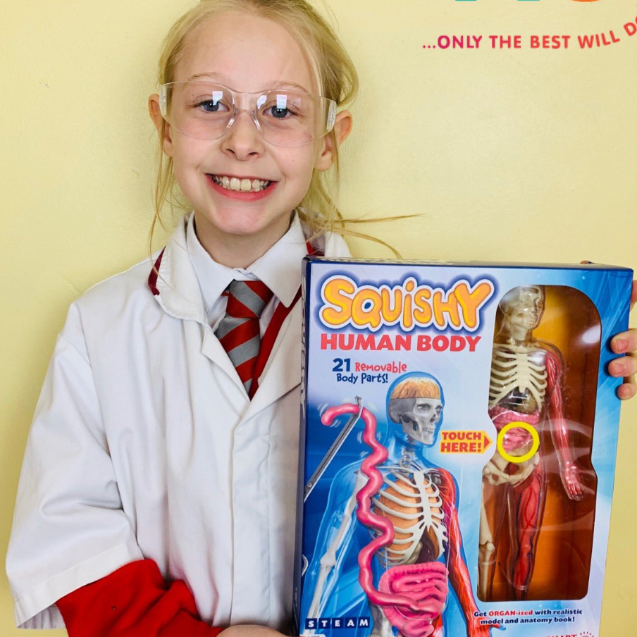 American Smartlab Human Organ 3D Model Toys Anatomy Assembly Science Experimental Medical Teaching DIY