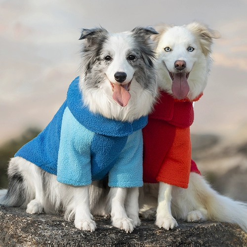 Зимняя бархатная удерживающая тепло осенняя толстовка, слюнявчик, шарф, коллекция 2023