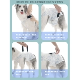 Менструальные трусы для собак с прикрытием живота для сук во время менструации, менструальные трусы для собак среднего размера, послеоперационная одежда для крупных собак, стерилизационная одежда и гигиенические трусы.