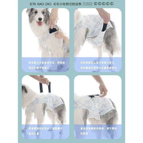 Менструальные трусы для собак с прикрытием живота для сук во время менструации, менструальные трусы для собак среднего размера, послеоперационная одежда для крупных собак, стерилизационная одежда и гигиенические трусы.