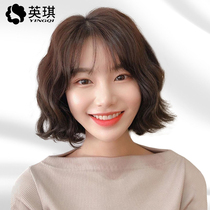 Wig female short hair air bangs instant noodle egg roll real hair fluffy natural round face everted short curly hair