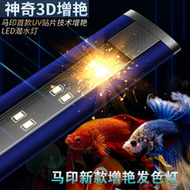 Ma Yin ultra-thin LED small Magic Lamp dragon fish parrot fish Luohan color color special lamp UVA full light water grass waterproof