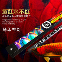 Ma Yin magic lamp three basic color red golden dragon fish special plus color enhancement color hair color baking color diving medium light fish tank lamp