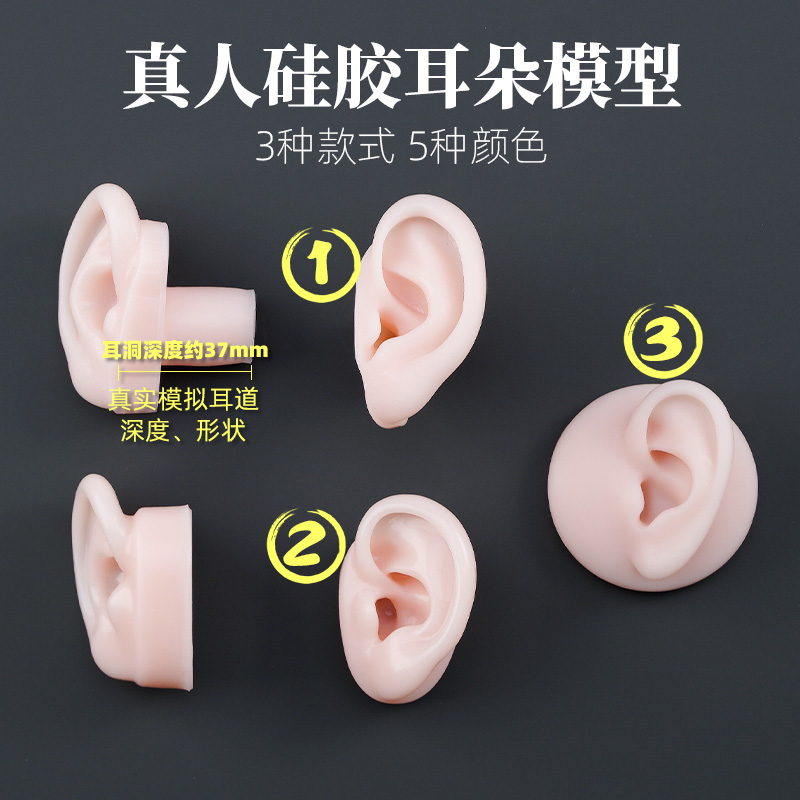 Silicone ear model simulation fake headphones display ear-needle earrings assist hearing acupuncture-moxibustion practice instrumental in ear teaching adult