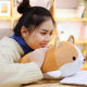 Simulation corgi ຫມາ doll doll pillow ນອນຜ້າ doll ງາມ super ງາມ plush toy ສາວຂອງຂວັນວັນເກີດ