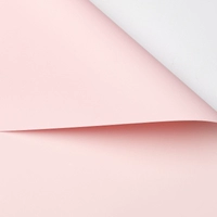 Ouy Paper Yan Fan+яркий порошок 58*58 см 20 фото/сумка