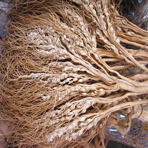 New stock fresh Hainan Wanning betel nut flower now dry sunburn with 500g than 500g sun dried goods on the day