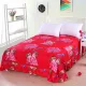 New giường bedspread váy một mảnh loại nhóm giường nhám 1,8 m bảo vệ tay tấm chúa ren đôi - Váy Petti