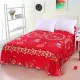 New giường bedspread váy một mảnh loại nhóm giường nhám 1,8 m bảo vệ tay tấm chúa ren đôi - Váy Petti