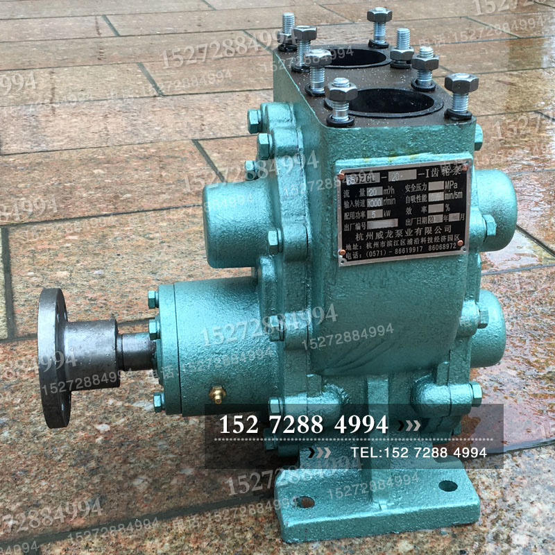 Hangzhou Veron 65QZCL-20-I gear pump 30-I gear pump plus oil tanker arc gear oil pump
