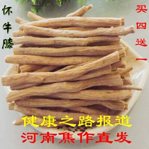 Achyranthes bidentata 500g Henan Jiaozuo Chinese herbal medicine super fresh wild Achyranthes Achyranthes Huai Niu Seven lacquer and Astragalus Angelica tea