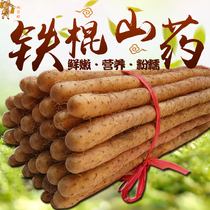 Iron bar Yam fresh 5kg packed Henan Jiaozuo Wenxian iron yam authentic Huai Yam specialty