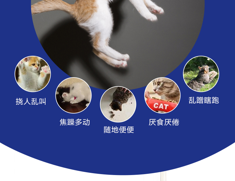 Mèo tuyệt vọng phổ quát mèo nữ mèo mèo giật gân động dục ức chế sự cố mèo đặc biệt bị cấm màu hồng 喵 - Cat / Dog Health bổ sung Bột kích sữa cho chó mẹ