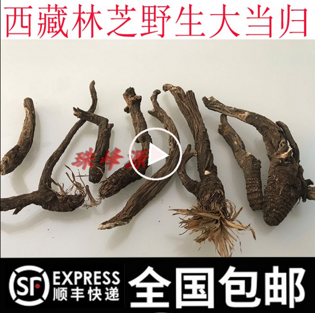 250g SF Tibet Nyingchi pure wild angelica big angelica taste very thick soup very delicious