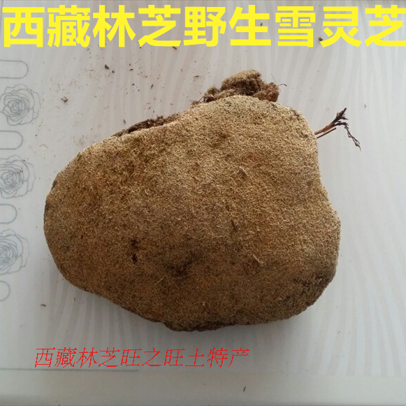 250 grams of Pure Wild Plateau Snow Ganoderma lucidum in Nyingchi, Tibet The quality is far superior to that of artificial snow Ganoderma lucidum