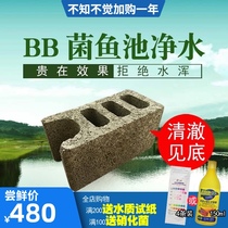 Meihe big micro BB fish pond water water stone koi pond filter material yard outdoor rockery pool biological purification