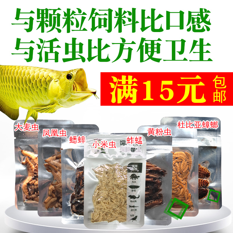 Kunva refreshing non-living red dragon feed bread worm millet worm cockroach barley worm fish food co-opted for nutritious fish food