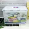 Lock lock lock large capacity plastic preservation box Sealed box Fruit tree storage HPL838 refrigerator storage 9L refrigerated
