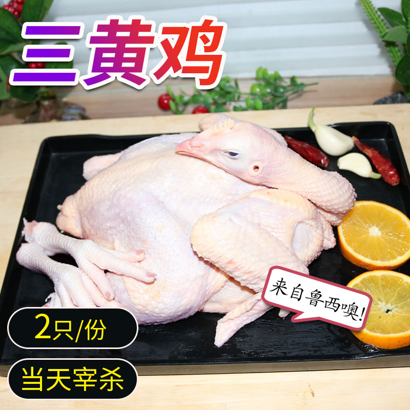 Fruit fresh fresh chicken white strips of chicken (Sanhedrin) 2 only 4 catties for a total of 2 fresh three-yellow chicken