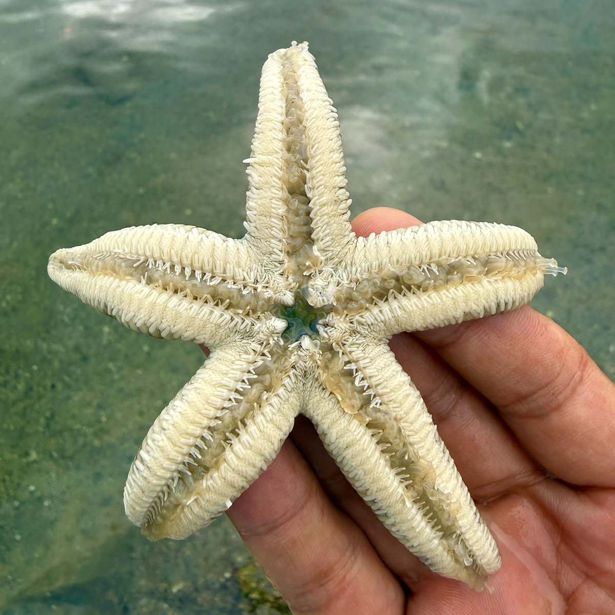 海南环岛自驾游第7天 ,我在陵水当了回渔民,又在鹿回头学会了“旁观”-3Cgeek,只卖正品 收售工厂呆滞库存尾单 海南环岛自驾游第7天 ,我在陵水当了回渔民,又在鹿回头学会了“旁观”