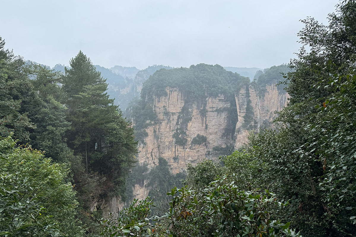 追更|带着父母去旅行 Day 2:张家界天子山雾里看御笔峰,走进阿凡达悬浮山-3Cgeek,只卖正品 收售工厂呆滞库存尾单 追更|带着父母去旅行 Day 2:张家界天子山雾里看御笔峰,走进阿凡达悬浮山
