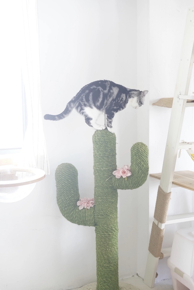 Xilejia knocking fairy-like Meimei cat scratching column is very stable, height 105cm, one piece