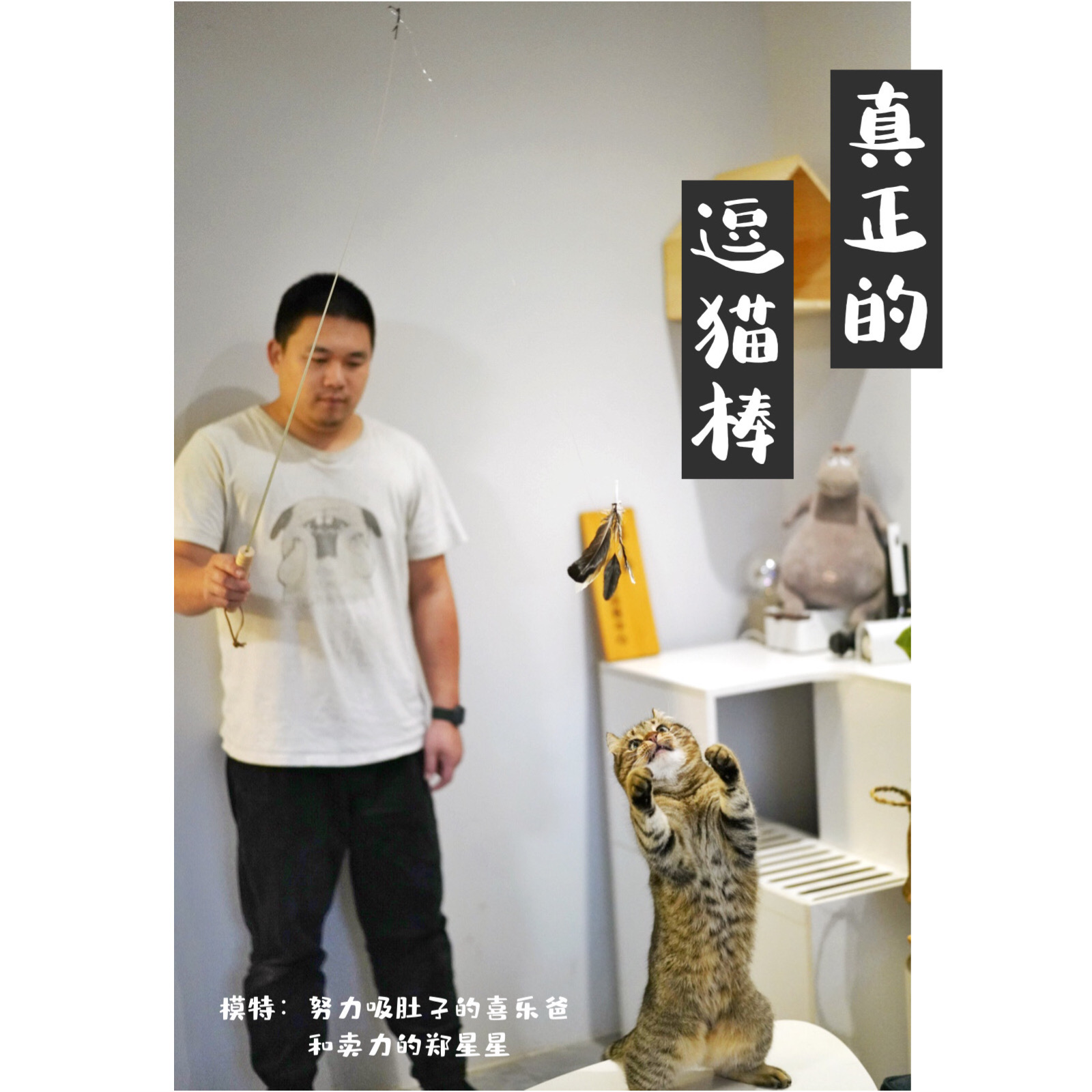 Joy Home Trainer Design Handmade Fun Cat Stick Standard 4 Replacement Head Upgrades New version