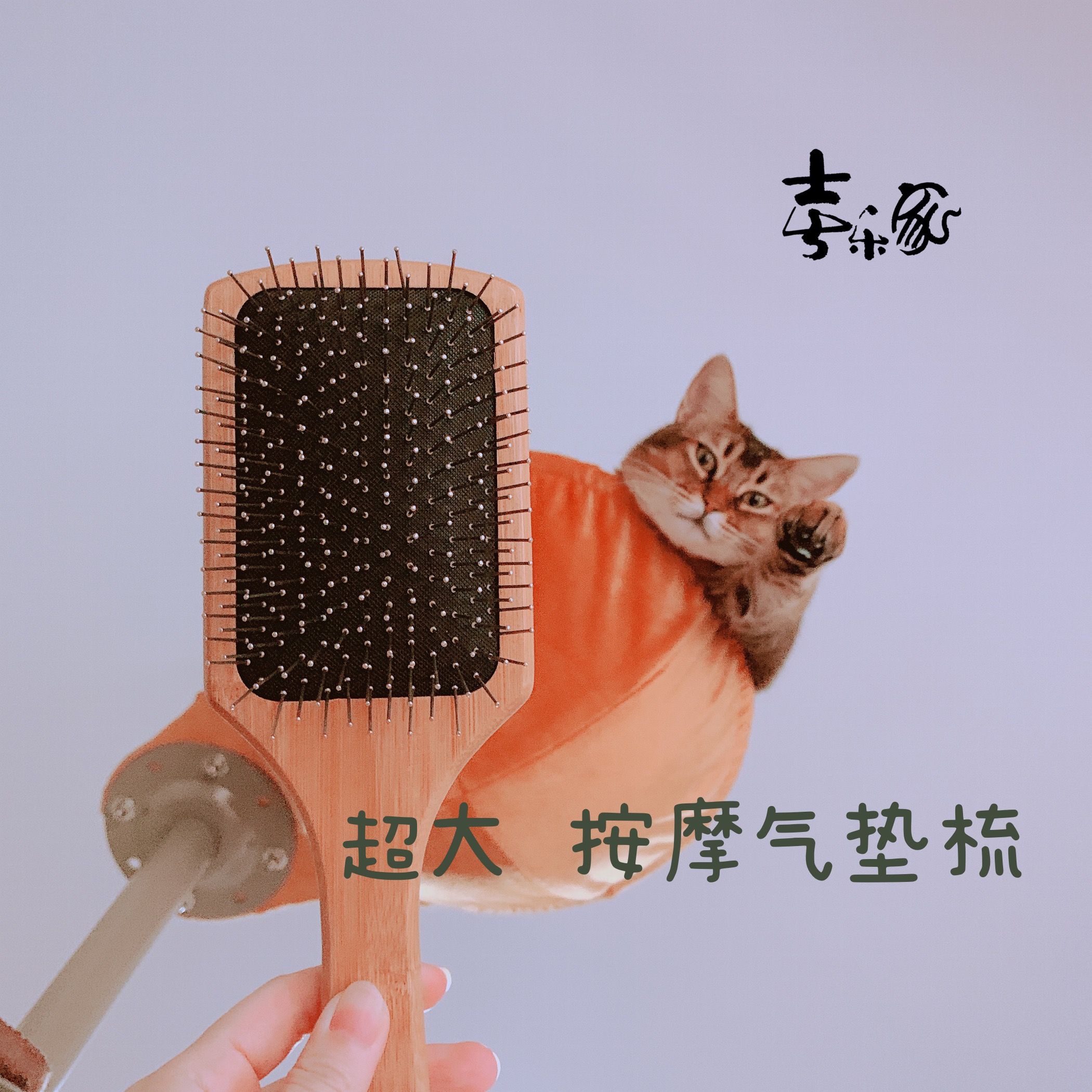 Joy Home Oversize Air Cushion Massage Comb Cat Dog Generic Knock Comfort Drop Fall In Love With Comb Hair
