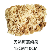Art coating tools seaweed cotton natural seaweed tools imported natural sponge brush tricolor pearlescent illusion