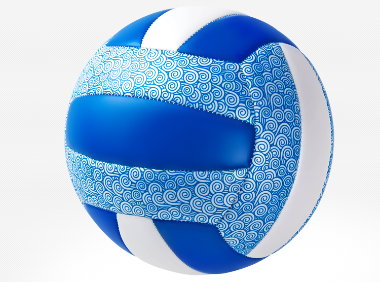 Ballon de volley - Ref 2008121 Image 18