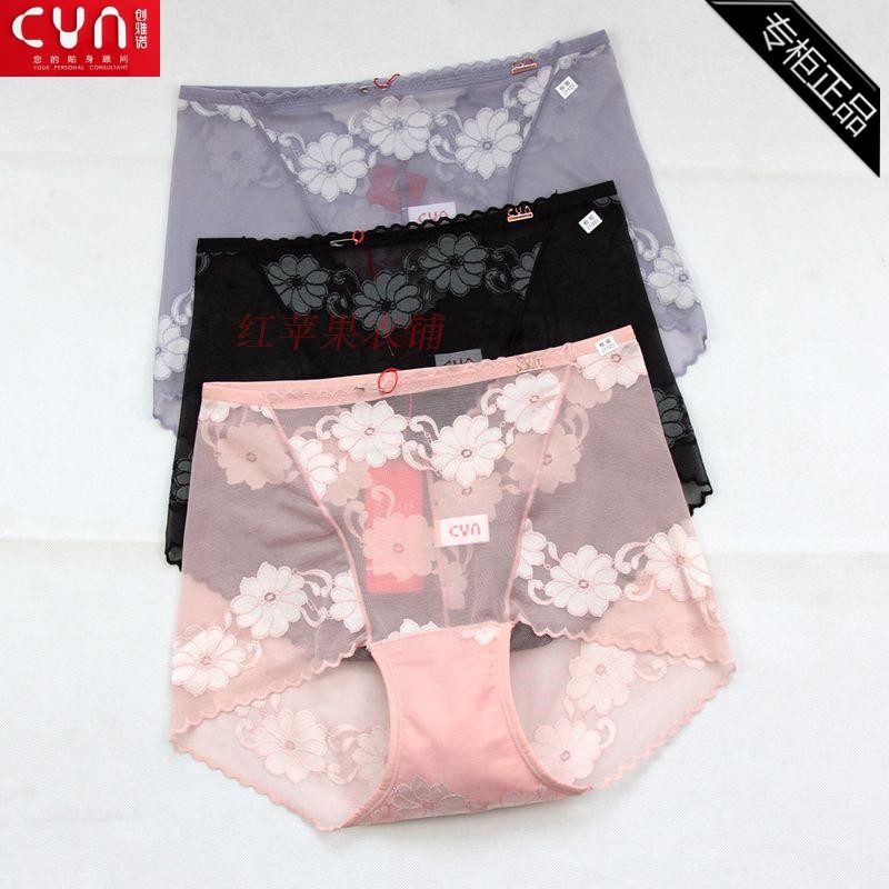 CYN Genesis 7034 Ms Nylon Elastic Net High Waist Four Corners Pants Lace Sexy Transparent Women's Underwear